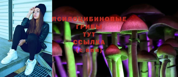 ALPHA-PVP Богородицк
