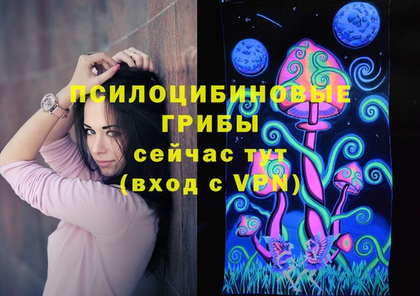 ALPHA-PVP Богородицк
