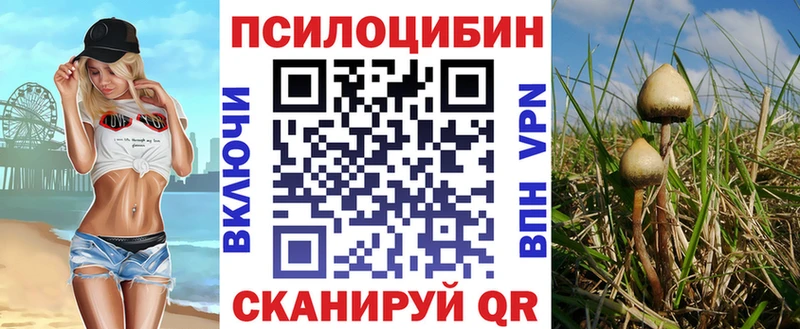 shop телеграм  Игра  Псилоцибиновые грибы прущие грибы  цены наркотик 