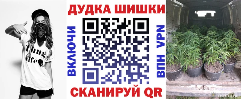 KRAKEN ссылка  Игра  Каннабис сатива 